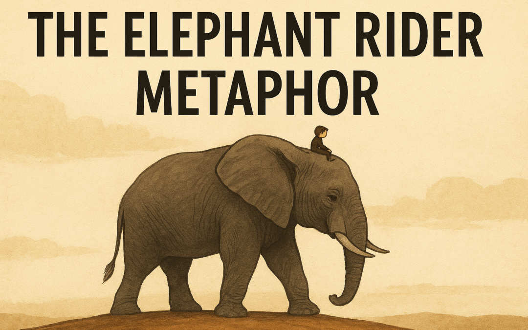 Becoming an Elephant Rider